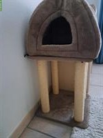 Katzenbaum AniOne Wild Variety, neuwertig, mit Schlafhöhle