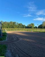 Auslaufboxen/Offenstall in Dübendorf, mit Reitplatz und Führanlage