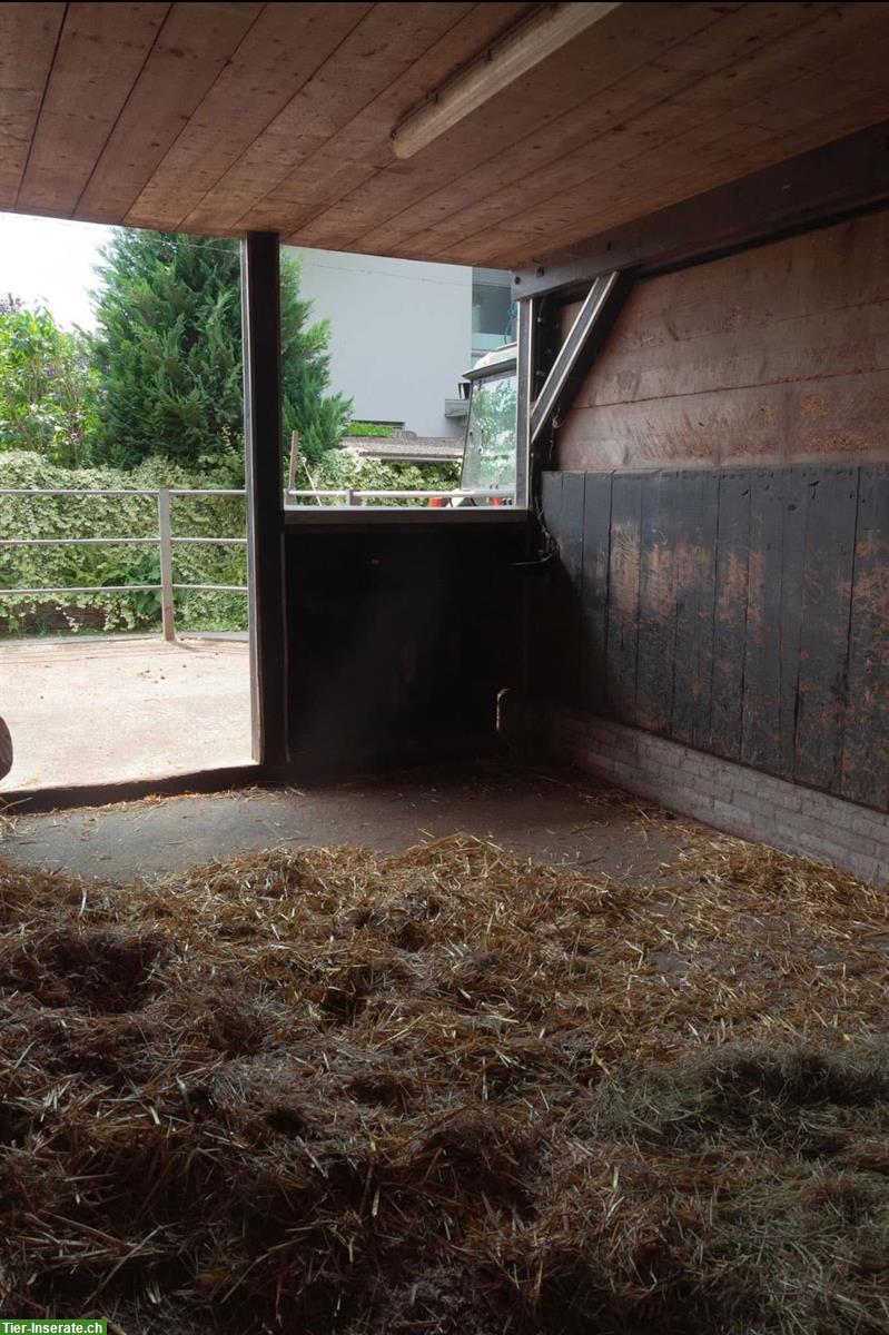 Bild 5: Auslaufboxen/Offenstall in Dübendorf, mit Reitplatz und Führanlage