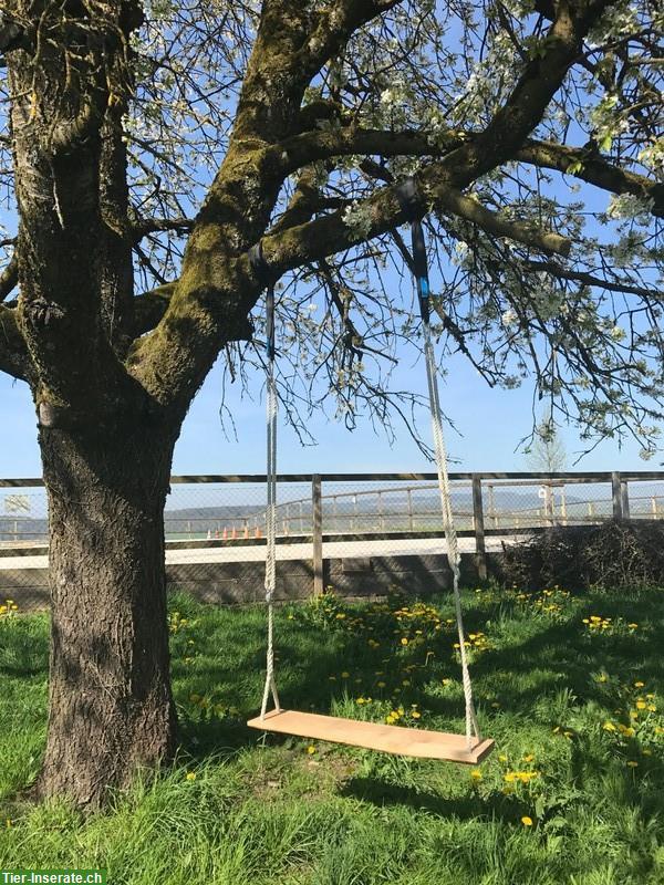 2-Zimmer Wohnung auf Bauernhof mit Hofarbeit