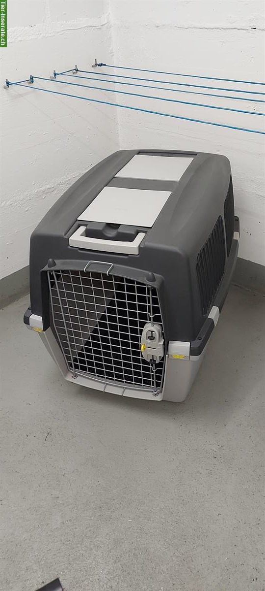 Hundebox Trixie Gulliver, neuwertig zu verkaufen
