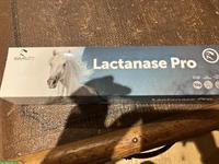 Lactanase Pro Paste GRATIS abzugeben