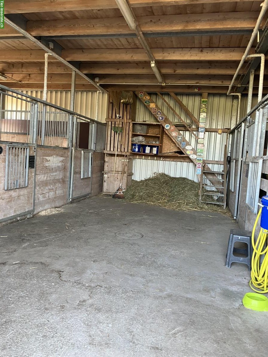 Auslaufboxen auf Bauernhof in Kirchlindach