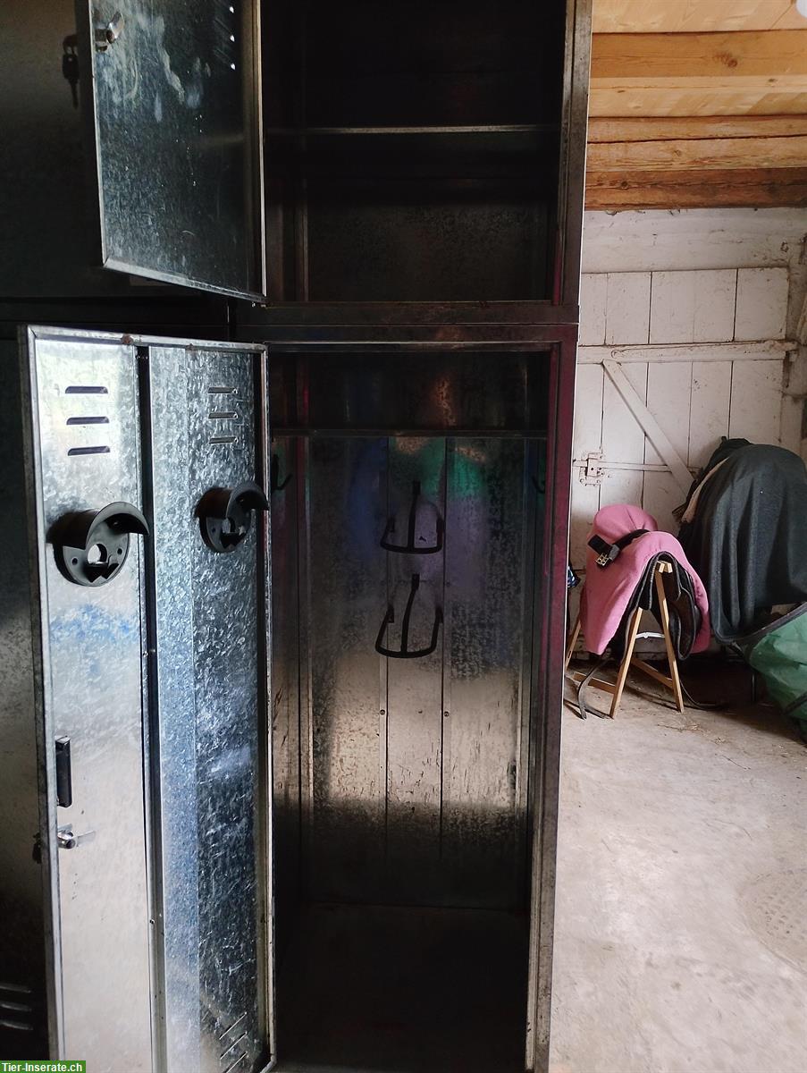 Bild 6: Pferdepension in Gossau ZH, Offenstallplätze und Paddockboxen frei