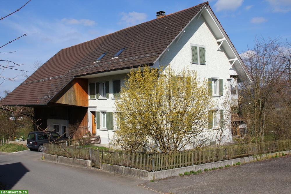Bild 10: Vermiete 4-Zi-Dachgeschosswohnung in 5057 Reitnau, hundefreundlich