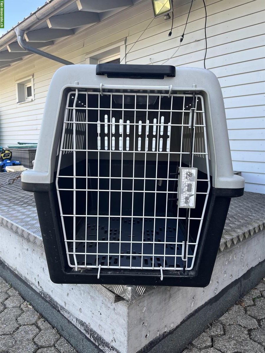 Bild 3: 2 Hundeboxen zu verkaufen