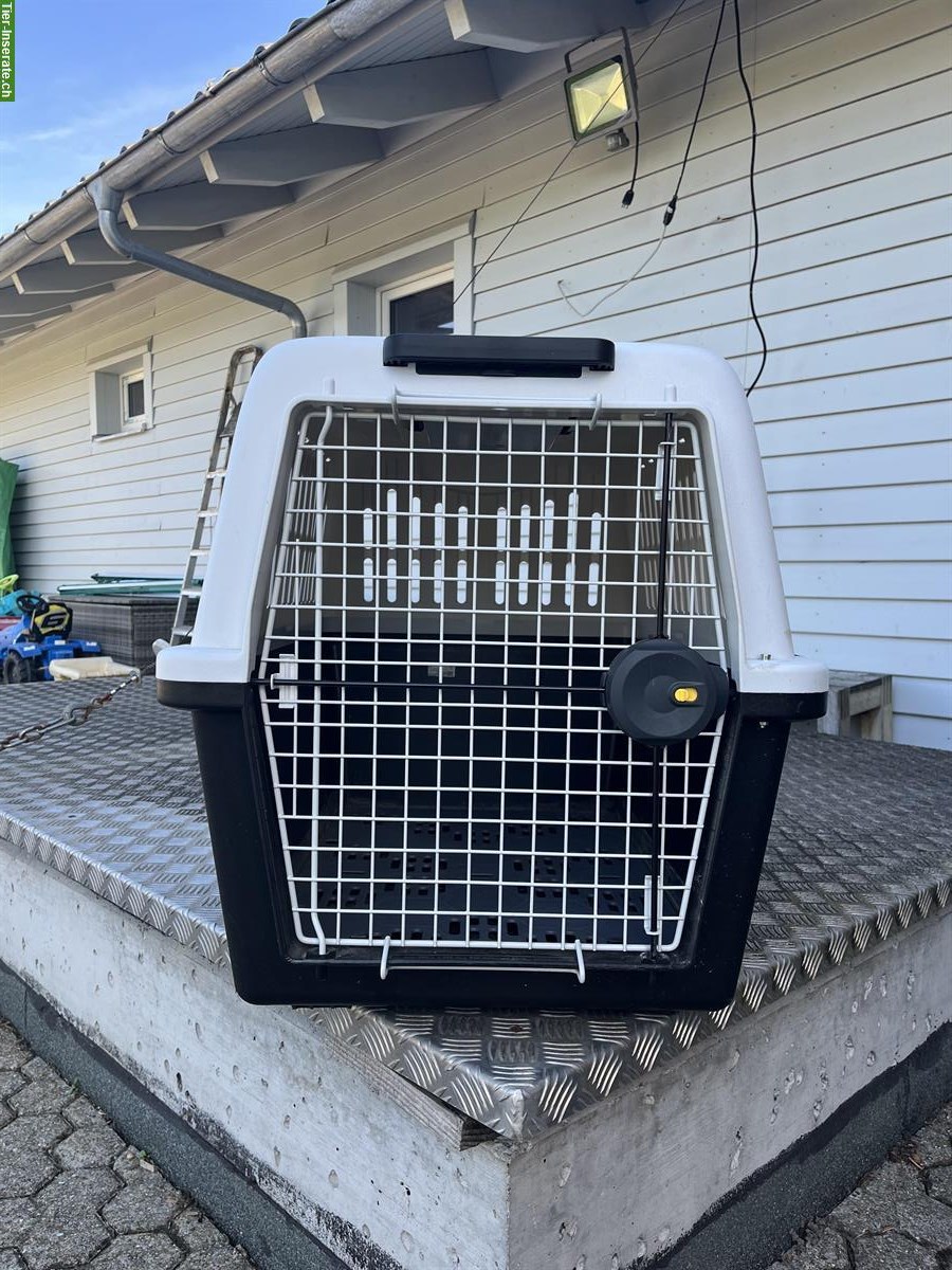 Bild 5: 2 Hundeboxen zu verkaufen