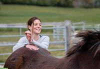 Therapeutische Behandlung für dein Pferd, bei dir im Stall