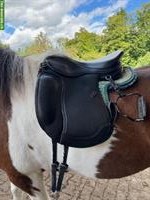 Championrider Isländer Sattel XChange 17.5 Zoll