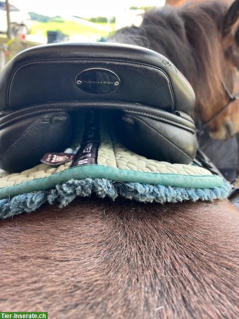 Bild 3: Championrider Isländer Sattel XChange 17.5 Zoll