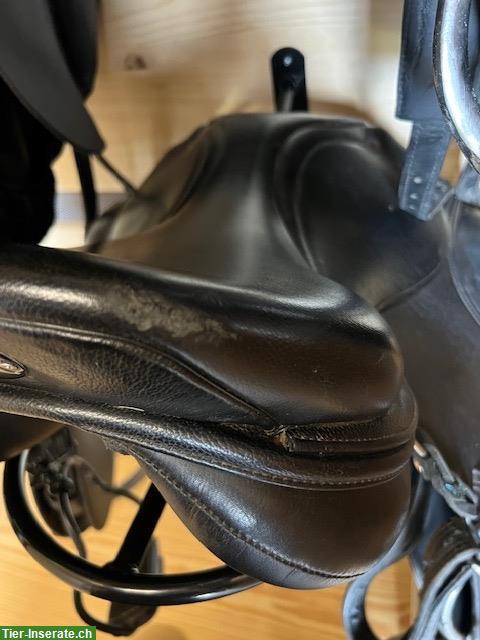 Bild 7: Championrider Isländer Sattel XChange 17.5 Zoll