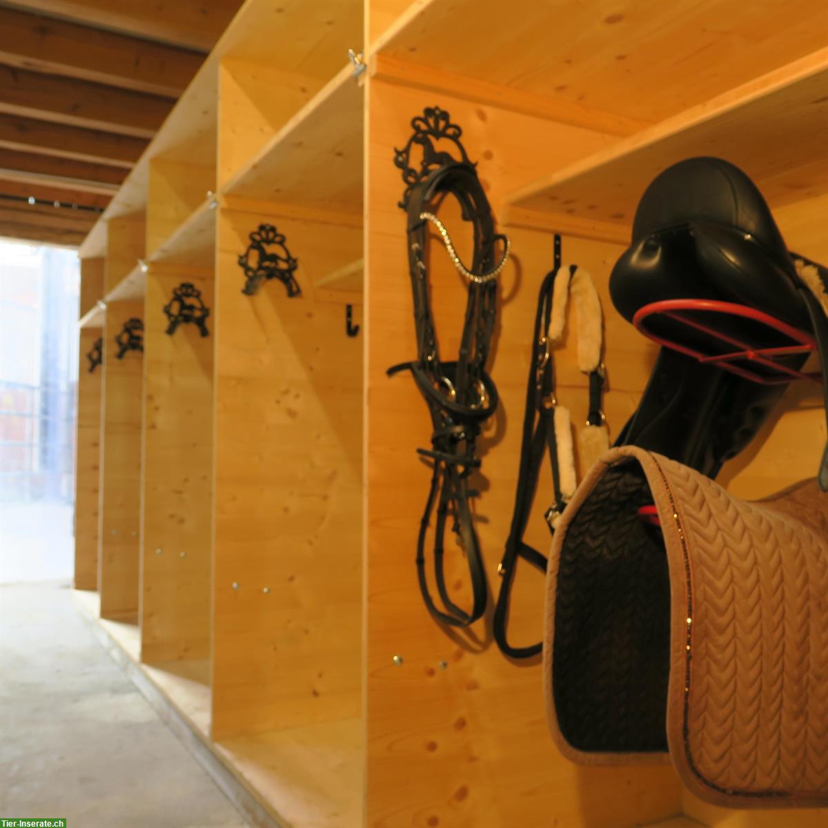 Bild 3: Aktivstall in 8577 Schönholzerswilen im Thurgau