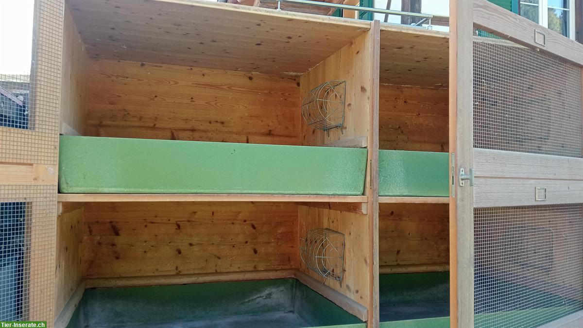 Kaninchenstall für Grossrassen Kaninchen zu verkaufen
