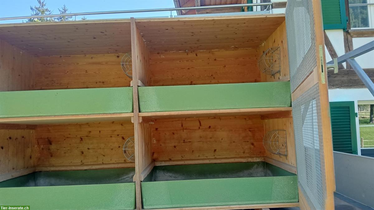 Bild 2: Kaninchenstall für Grossrassen Kaninchen zu verkaufen