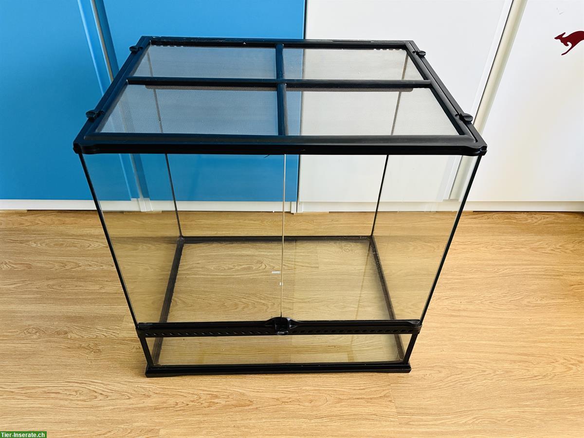 Bild 2: Exo Terra Terrarium mit Zubehör zu verkaufen