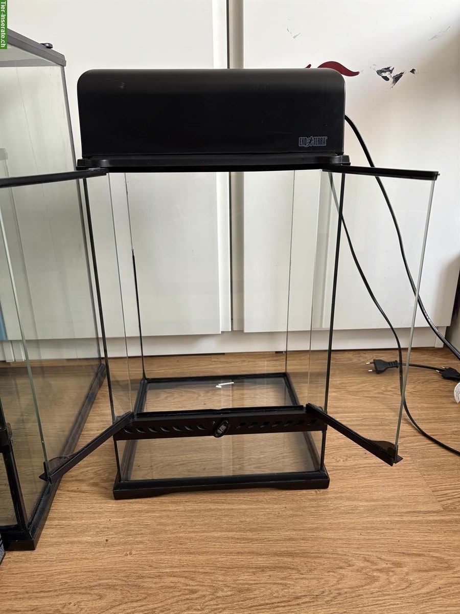 Bild 3: Exo Terra Terrarium mit Zubehör zu verkaufen