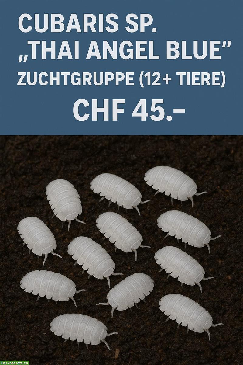 Bild 7: Asseln und Tausendfüssler abzugeben