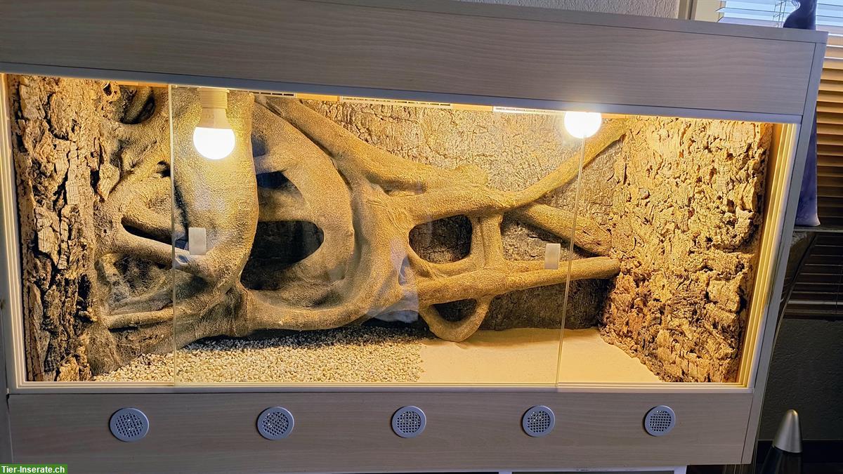 MDF Terrarium mit Glasschiebetüren