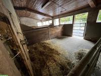 Offenstall Plätze frei auf Bauernhof in Stein am Rhein SH