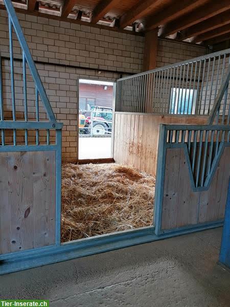 Bild 2: Selbstversorger Auslaufboxen zu vermieten