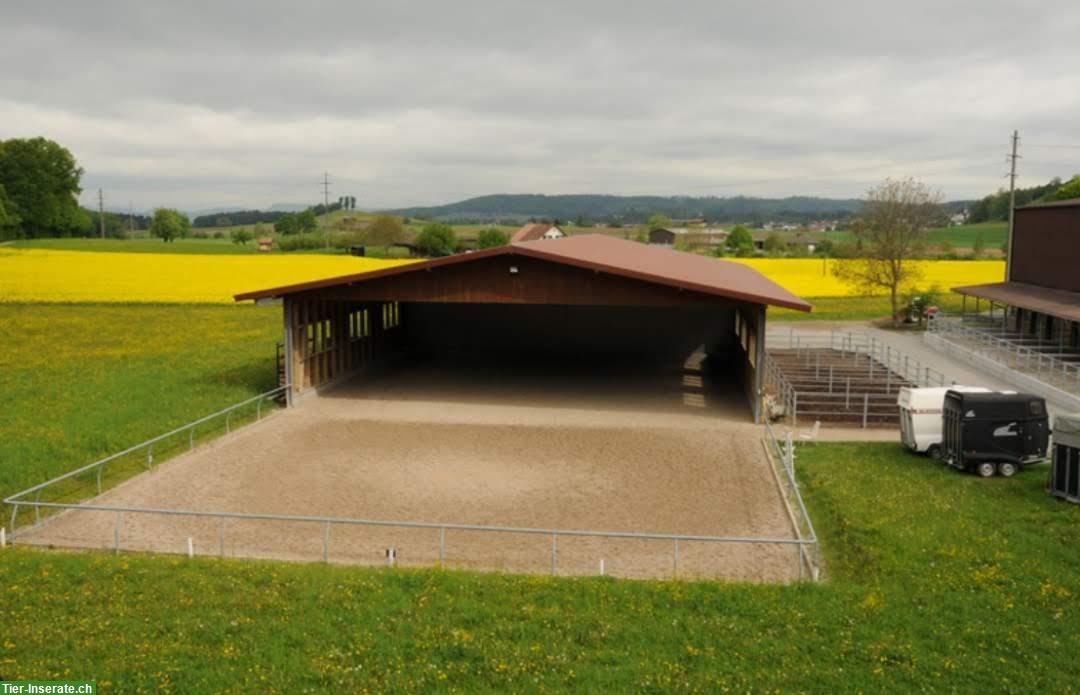 Bild 4: Selbstversorger Auslaufboxen zu vermieten