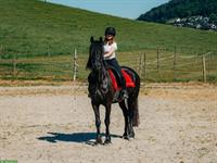 Reitcoaching für mehr Selbstvertrauen