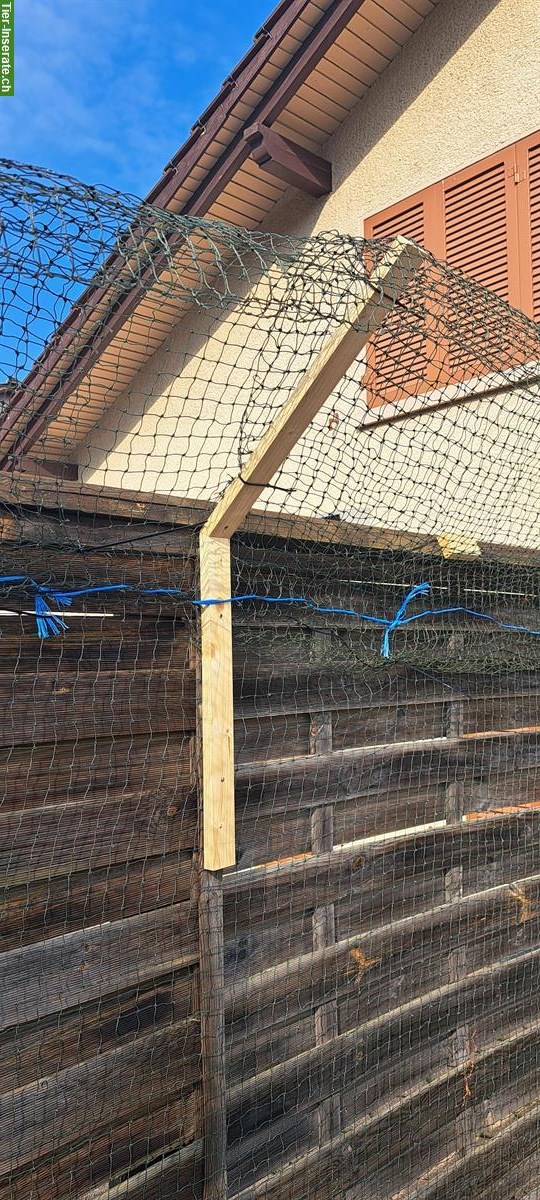 Bild 2: Katzenschutznetz drahtverstärkt, 29m, zu verkaufen