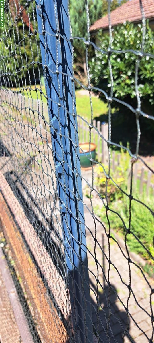 Bild 3: Katzenschutznetz drahtverstärkt, 29m, zu verkaufen