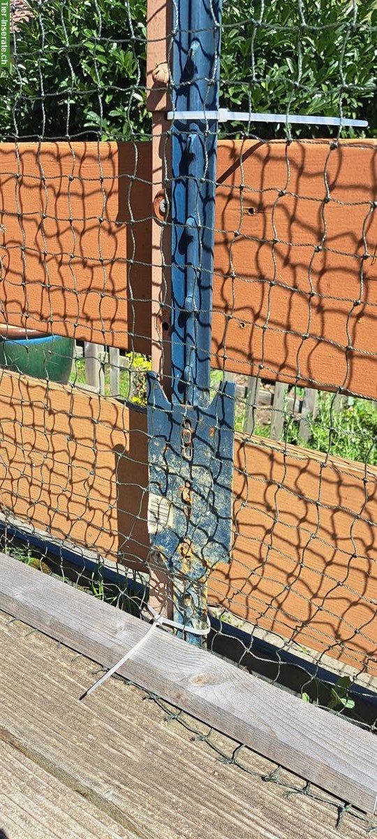 Bild 4: Katzenschutznetz drahtverstärkt, 29m, zu verkaufen