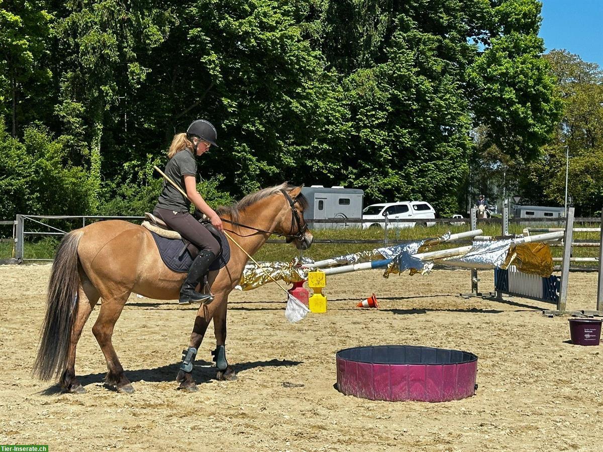 Bild 3: Praktikum auf Reithof Kanton Bern, 4937 Ursenbach