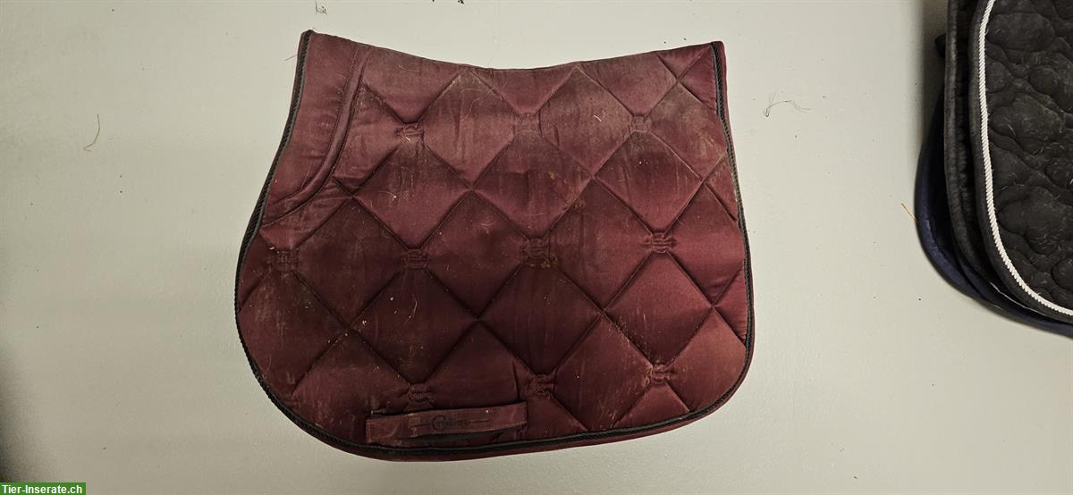 Bild 3: Schabracken für Dressursättel zu verkaufen