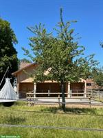 2 Plätze frei im Offenstall auf Bio-Bauernhof, Gündelhart
