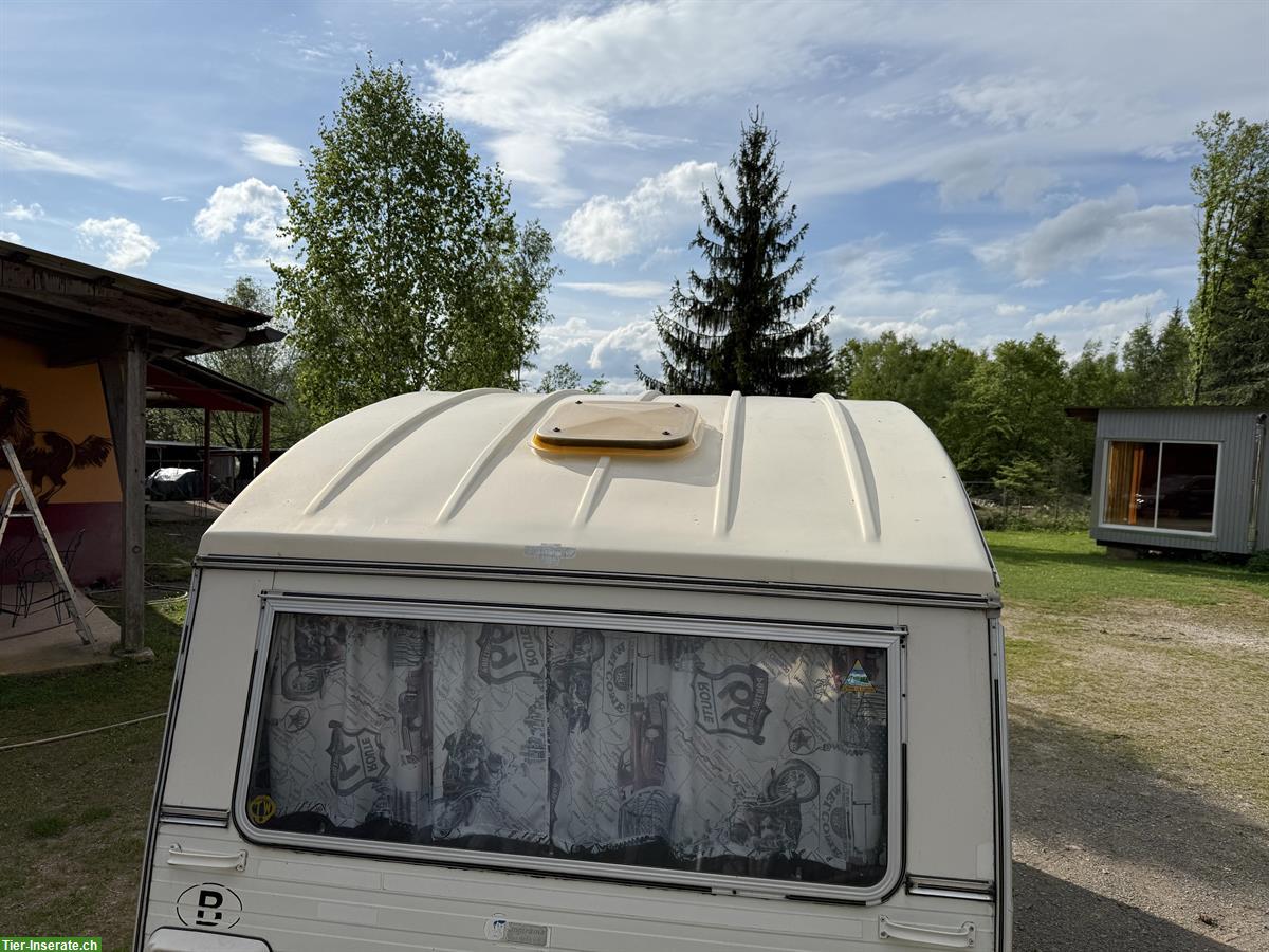 Bild 3: Wohnwagen Constructam Coral 1, renovierungsbedürftig