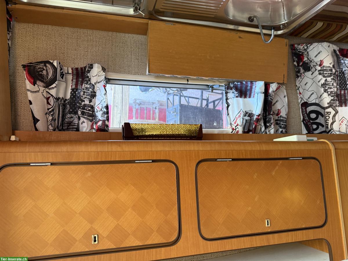 Bild 6: Wohnwagen Constructam Coral 1, renovierungsbedürftig