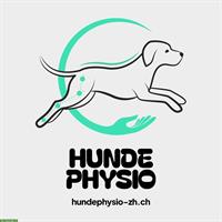 Hundephysiotherapie in Dübendorf, Volketswil, Zürich, Uster ZH