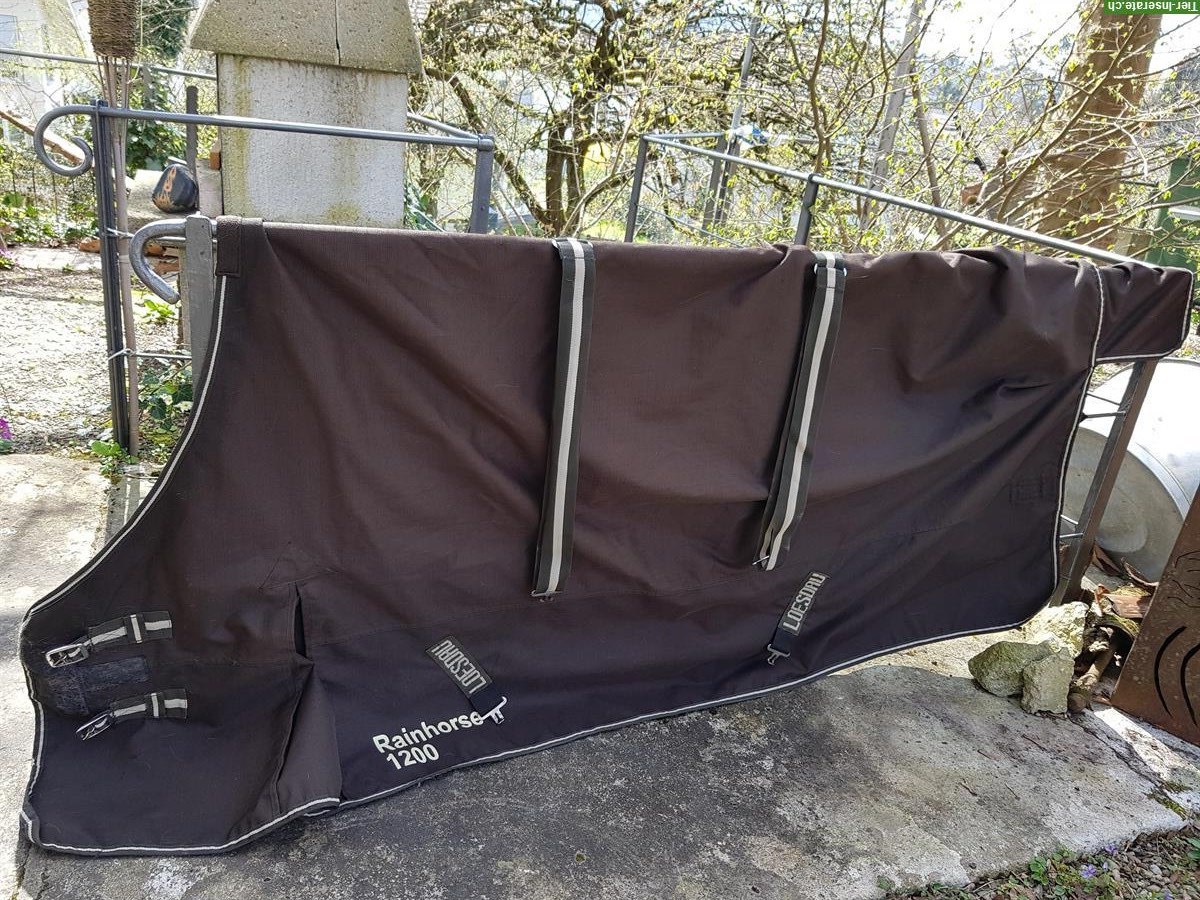Pferde Regendecke zu verkaufen