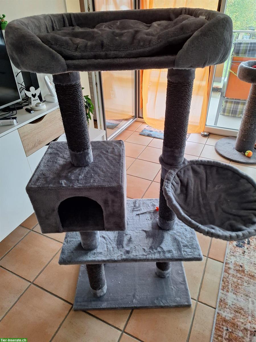 Katzenbaum zu verkaufen, neuwertig