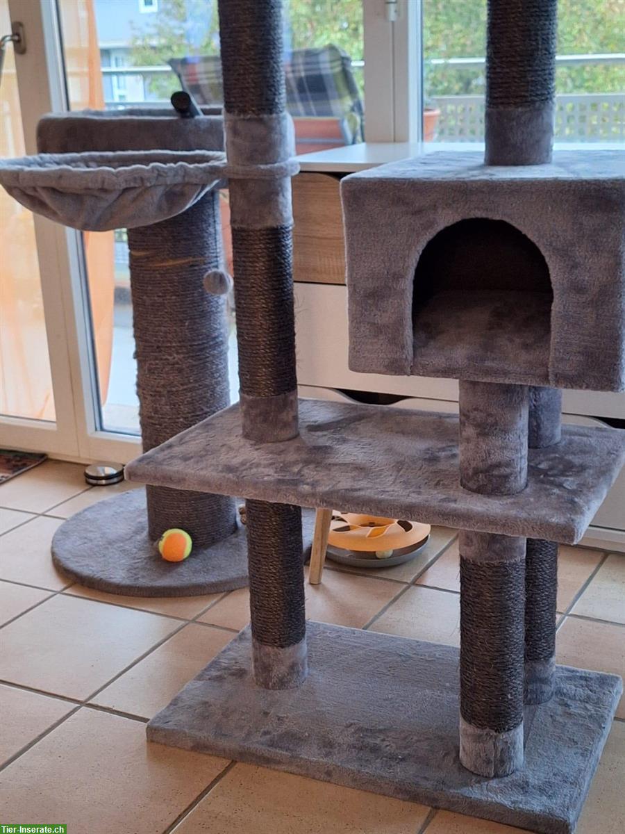 Bild 2: Katzenbaum zu verkaufen, neuwertig