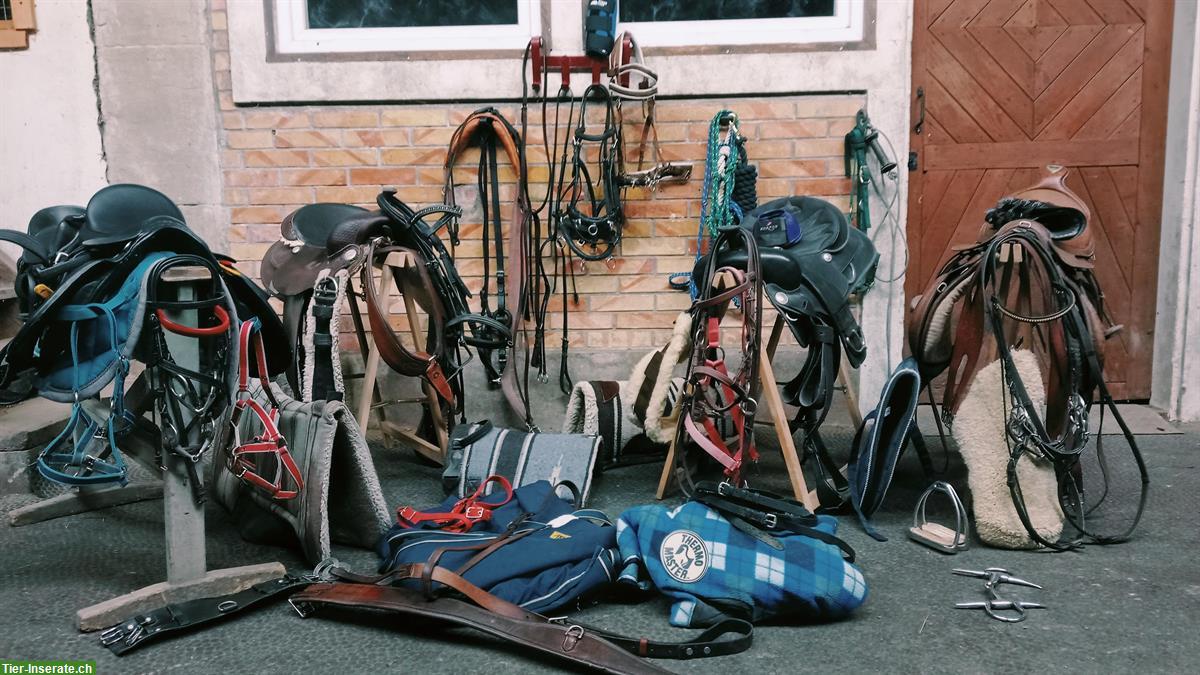 Bild 7: Westernsattel und Englischsattel mit Zubehör zu verkaufen