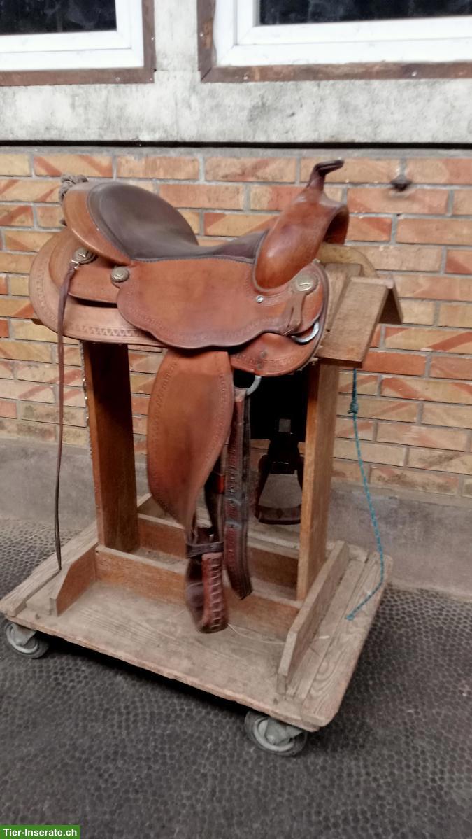 Bild 9: Pferdeartikel: Halfter, Dressursattel mit Zubehör zu verkaufen
