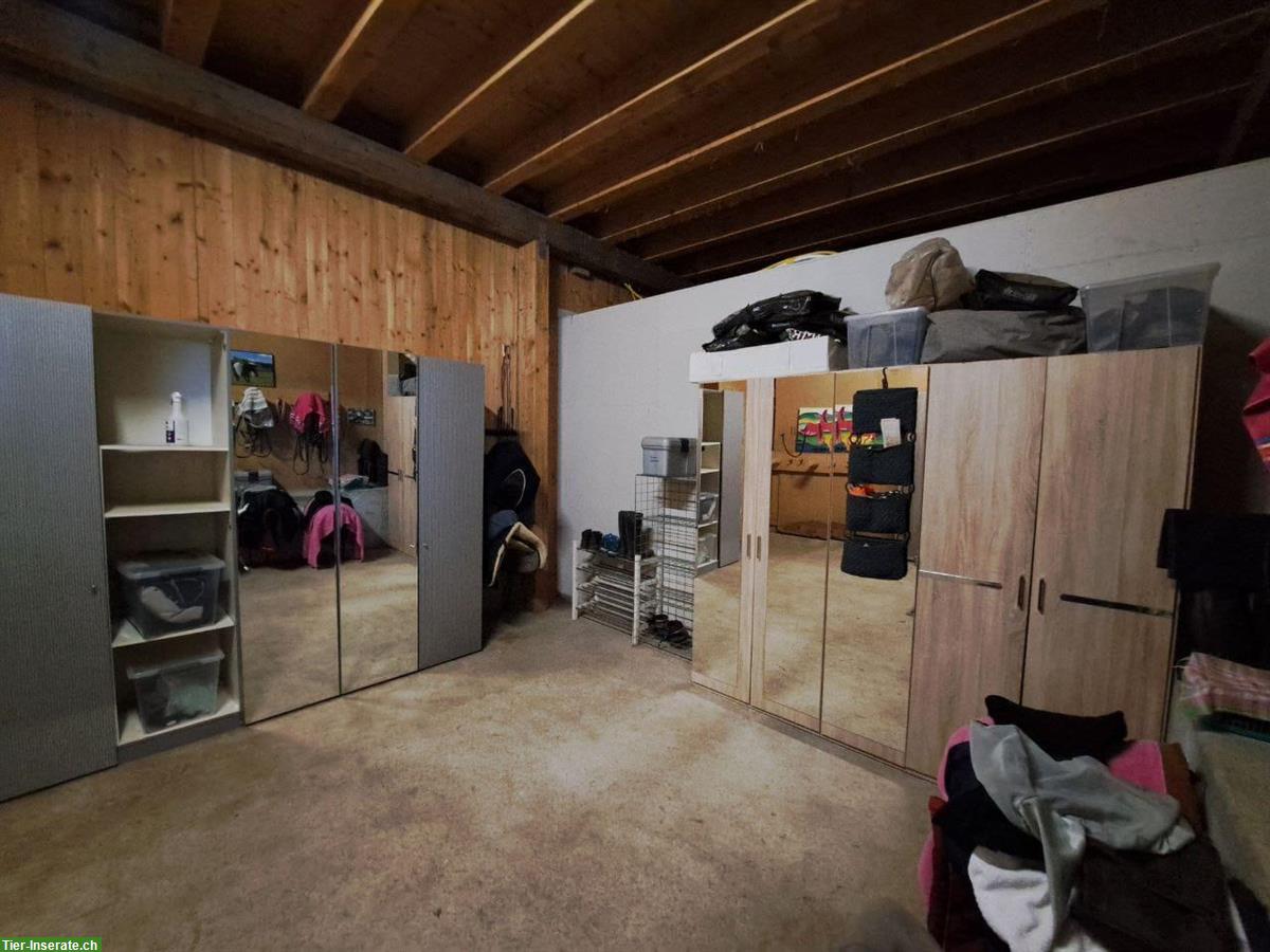 Bild 5: Offenstallplatz frei in Mühlau AG, Barhufstall mit Weidegang