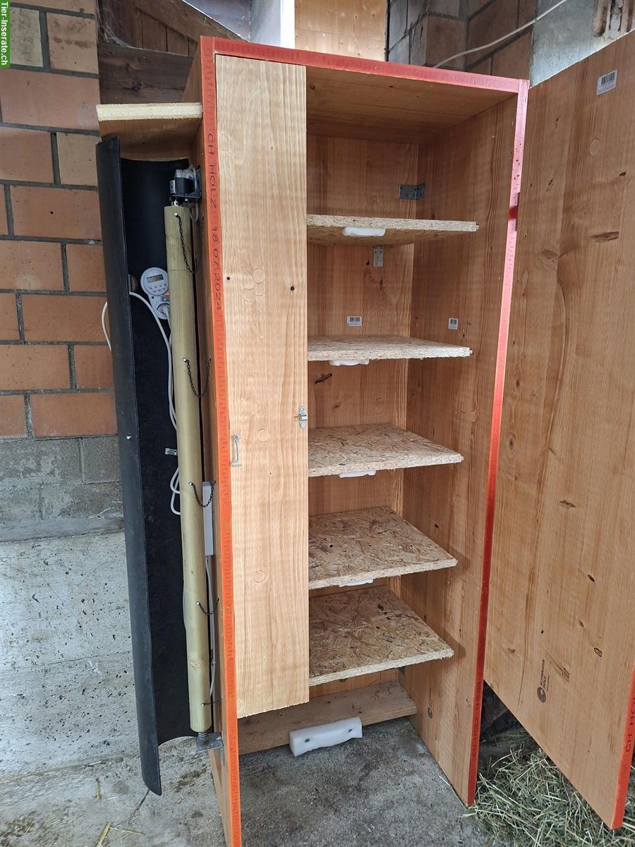 Futterautomat (zeitgesteuert) für Pferde und Ponys