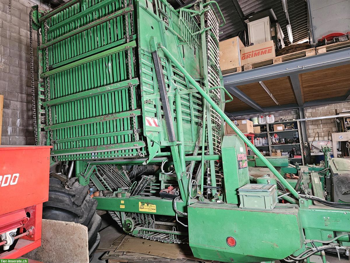 Zuckerrübenroder Stoll V202, zweireihig, gebraucht