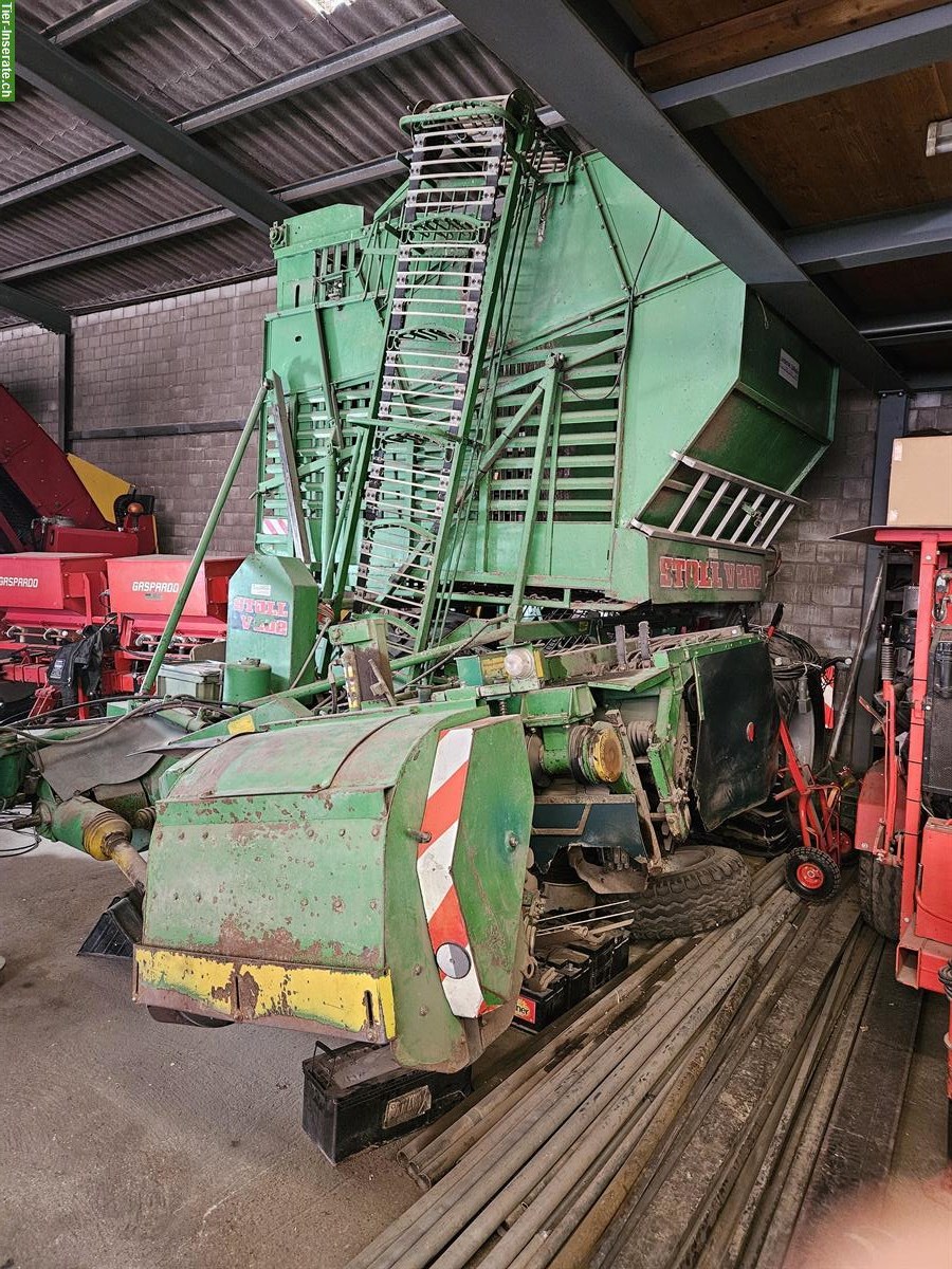 Bild 2: Zuckerrübenroder Stoll V202, zweireihig, gebraucht