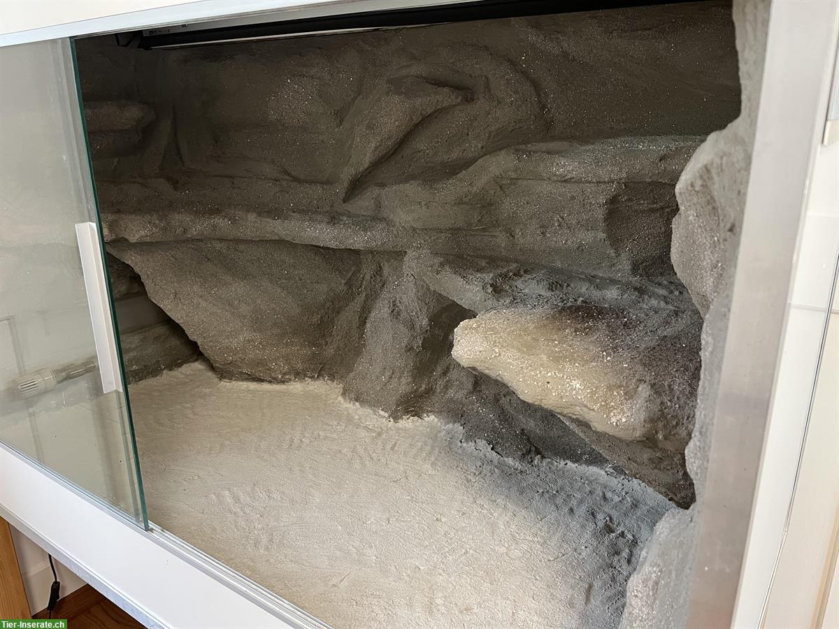 Bild 2: Holz-Terrarium mit Glasscheiben für Terraristik zu verkaufen