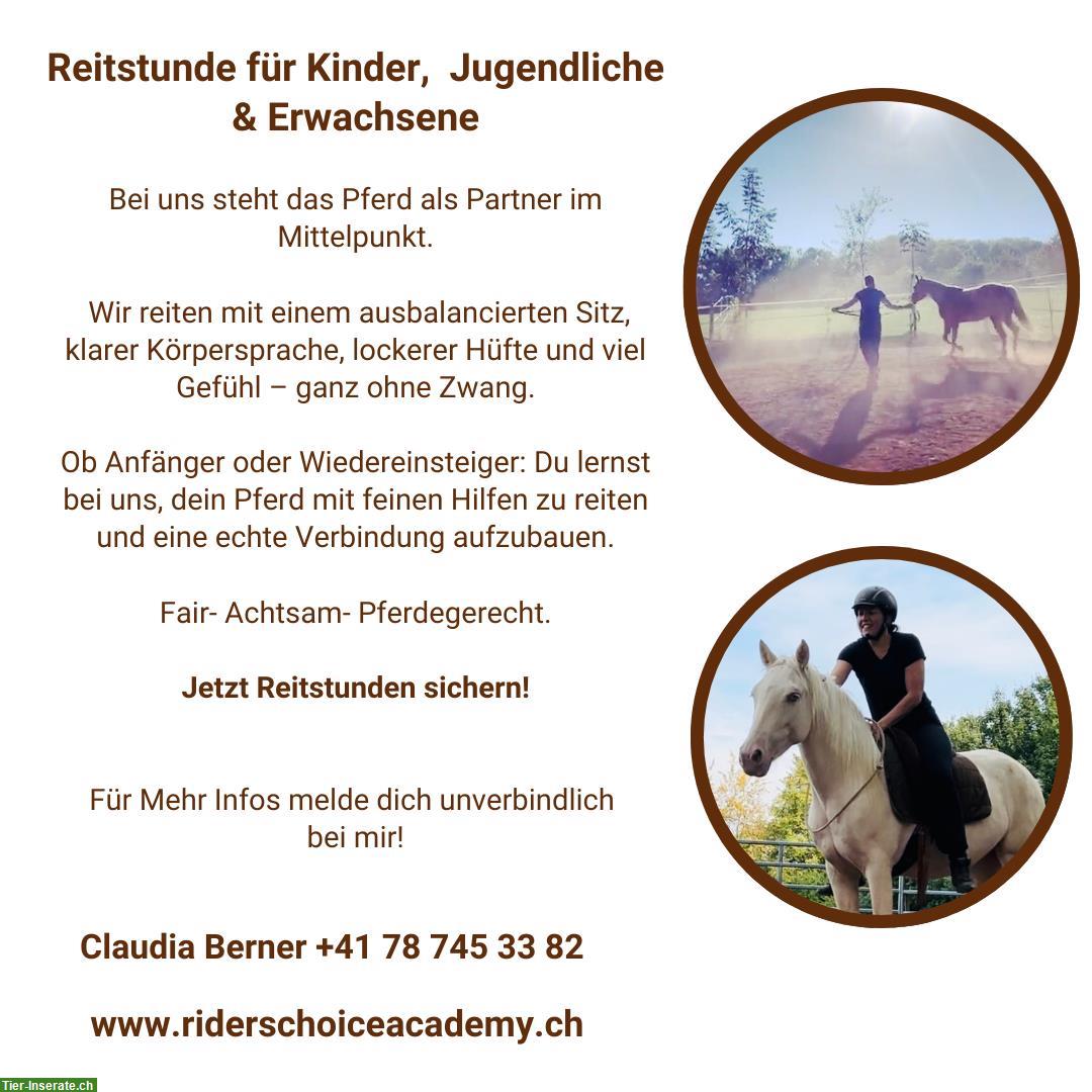 Reitstunden für Kinder, Jugendliche und Erwachsene