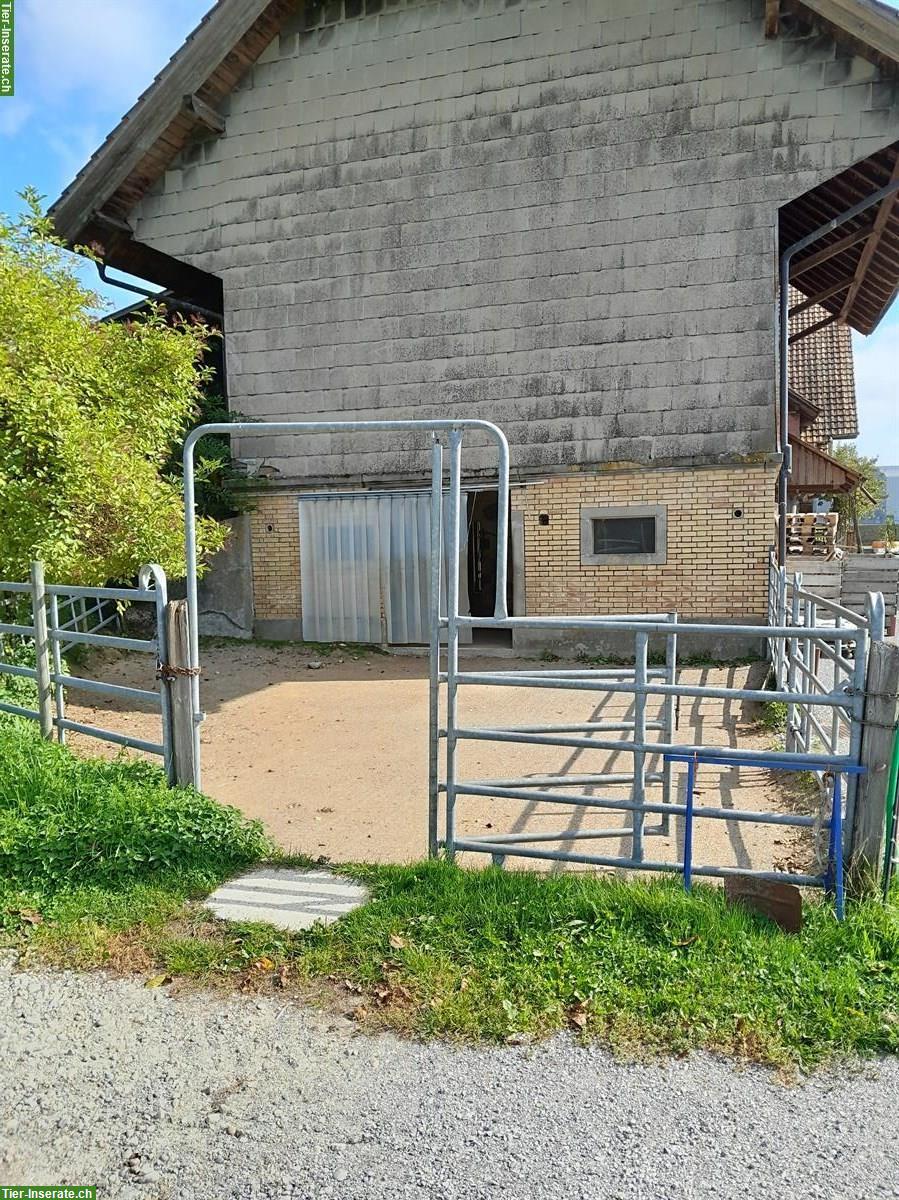 Vermieten Selbstversorgerstall in Kräiligen bei Bätterkinden