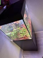 Aquarium Juwel Lido 200 inkl. LED Chihiros zu verkaufen