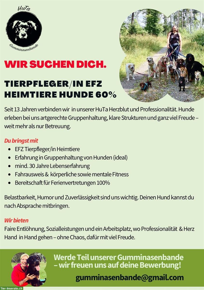 Job als Tierpfleger EFZ 60% in Winterthur