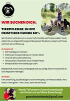 Job als Tierpfleger EFZ 60% in Winterthur